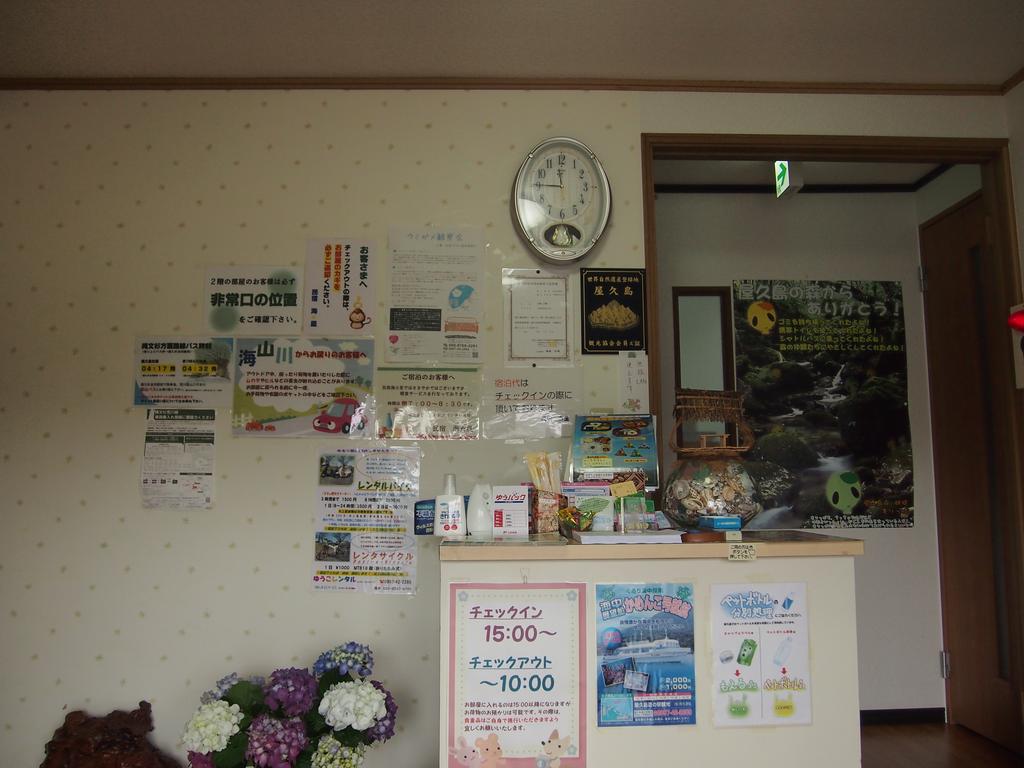 Minshuku Kaisei 1 Hostel Yakushima  Buitenkant foto